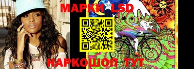 jwh Шебекино