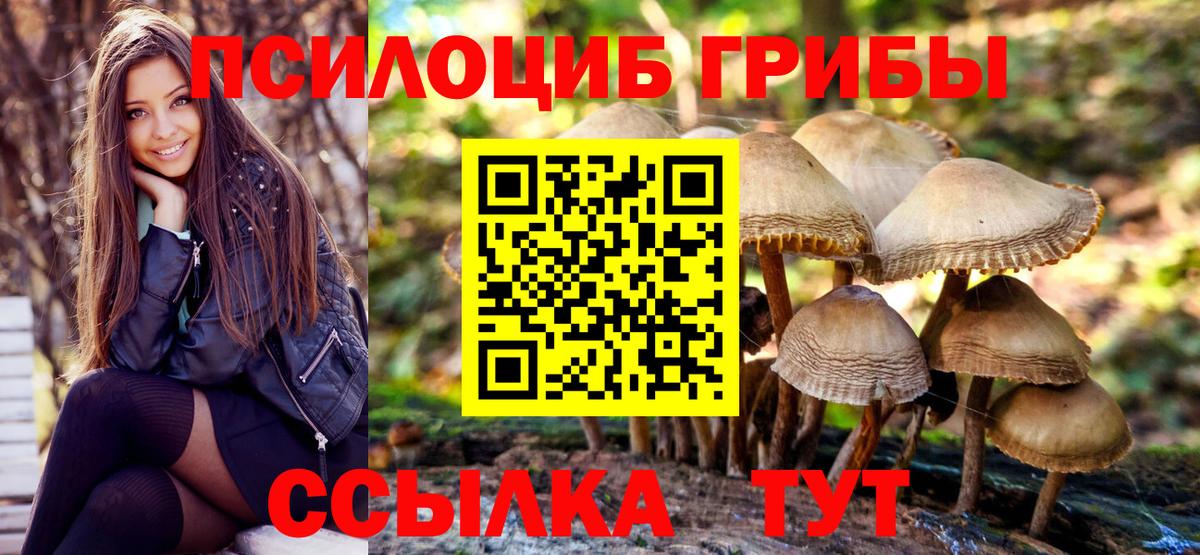 Псилоцибиновые грибы MAGIC MUSHROOMS  Вход с VPN  Верхняя Салда  Галлюциногенные грибы Psilocybe 